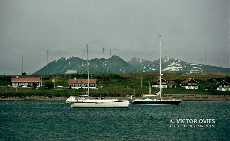 Canal Beagle - Tierra de Fuego